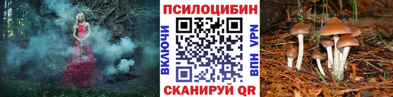 Галлюциногенные грибы Magic Shrooms  Бологое 